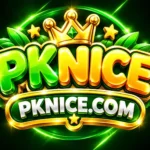 PKNICE Game Logo